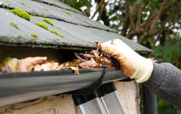 gutter cleaning Delnamer, Angus